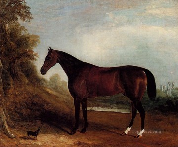 チャンピオン馬ジョン・ファーニーリー・シニアの父 Oil Paintings